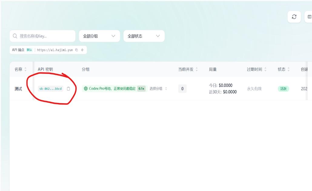 创建完成后复制 API 密钥